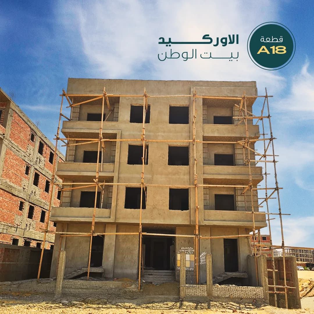 A18, Orchid, Beit Al Watan
