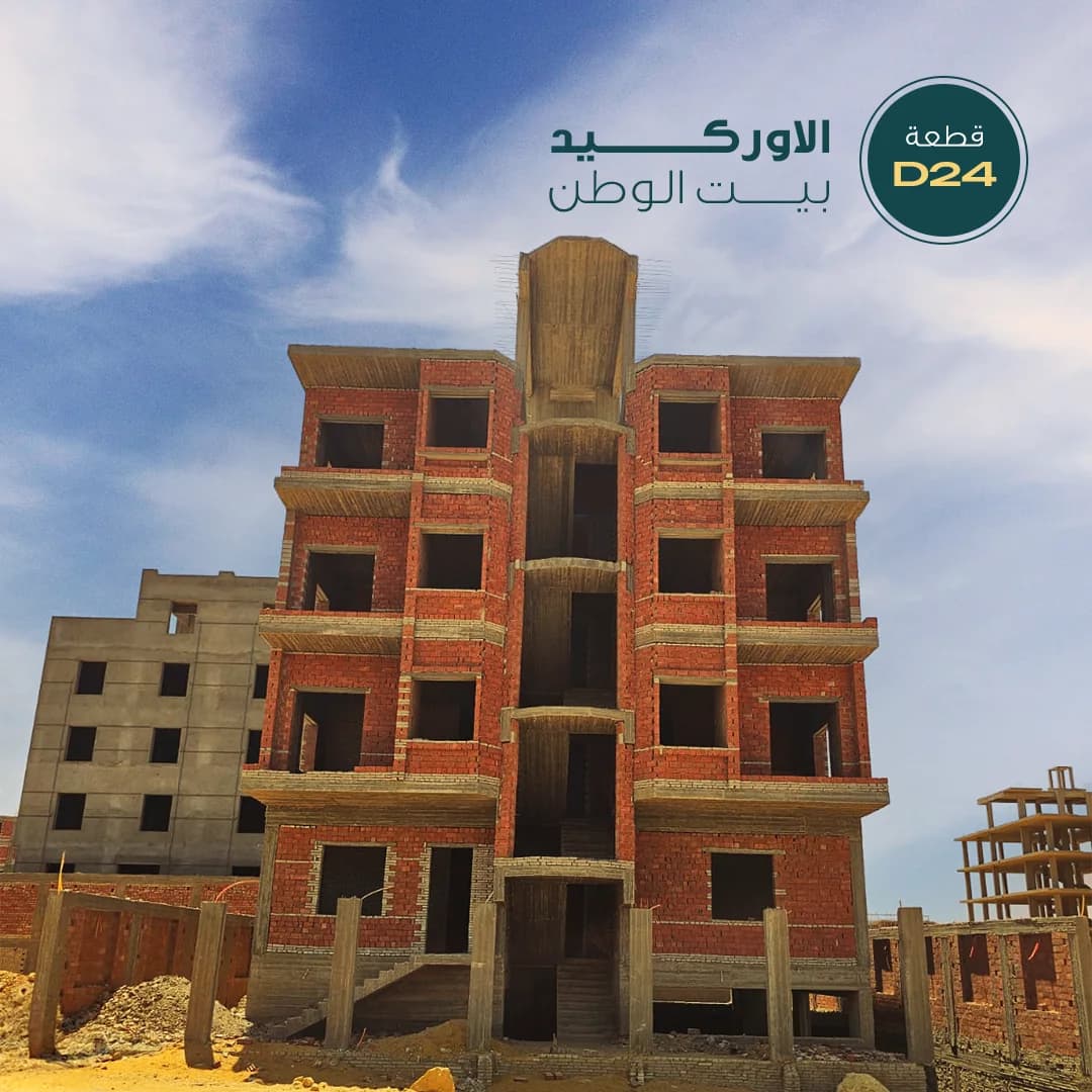 D24, Orchid, Beit Al Watan